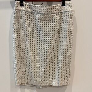 Elegant Light Blue Skirt